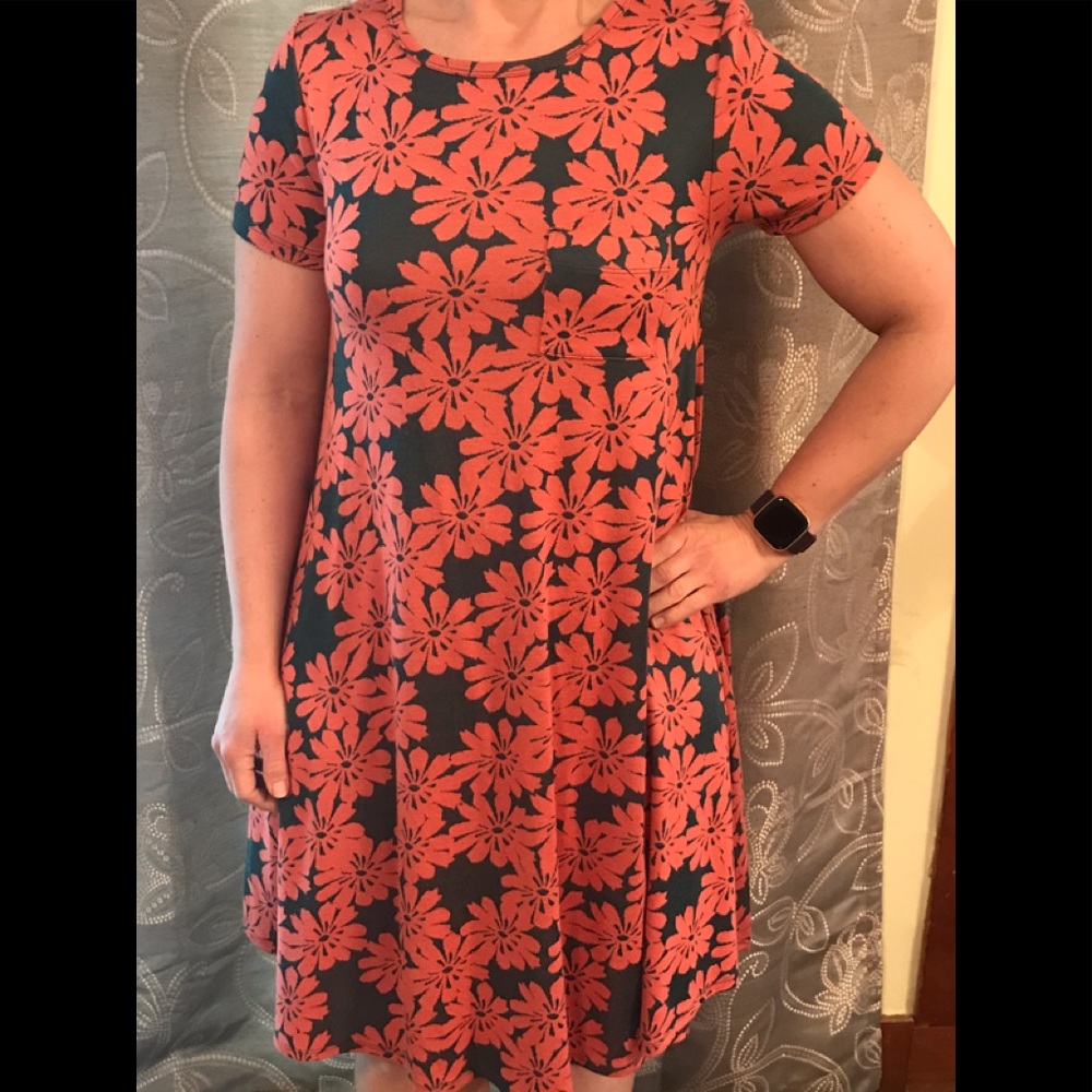 Lularoe Carly dress